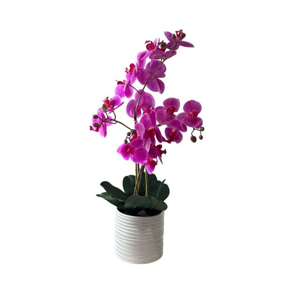Elegant Pink Orchid in White Pot - Picture 1 of 2